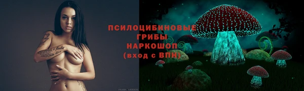 синтетический гашиш Алексеевка