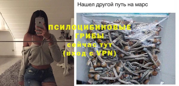 а пвп мука Абаза