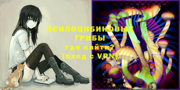 винт Алзамай