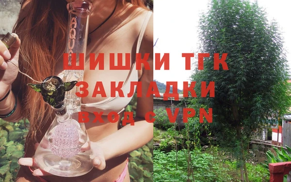 винт Алзамай