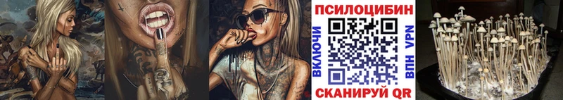 купить   Назрань  Галлюциногенные грибы ЛСД 