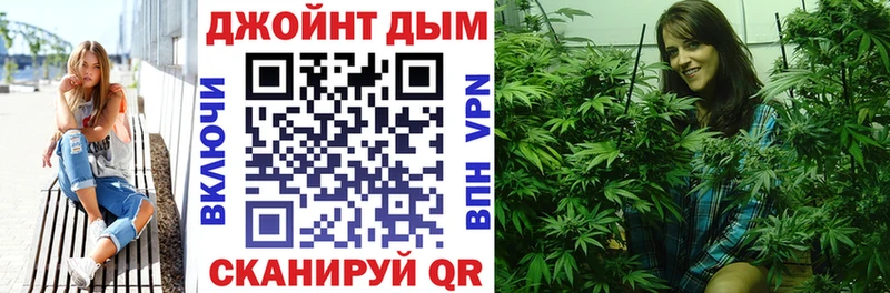 Каннабис сатива  где найти   Назрань 